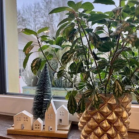 בית אירוח Gaestezimmer Seckert Wohlfuehlen In Der Naehe Von Mainz *