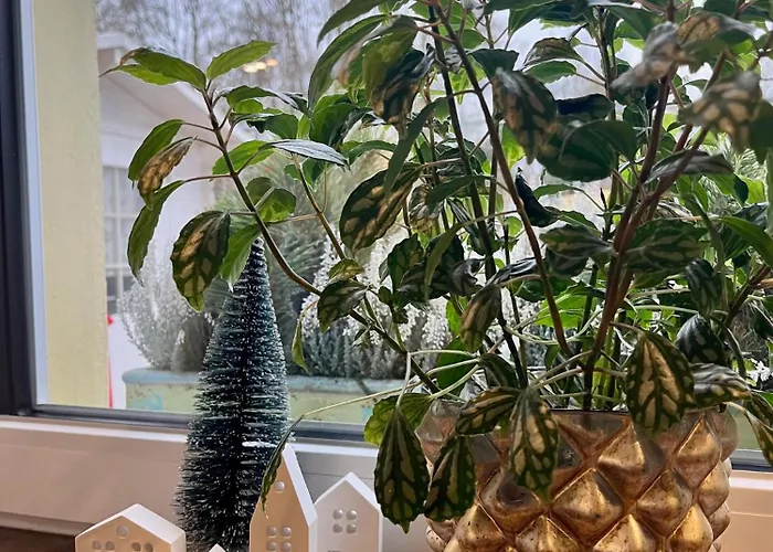 בית אירוח Gaestezimmer Seckert Wohlfuehlen In Der Naehe Von Mainz *